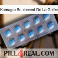 Kamagra Seulement De La Gelée viagra3
